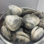 clams-04
